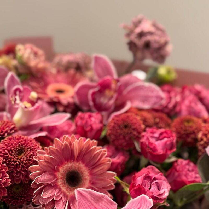 Our Flowers