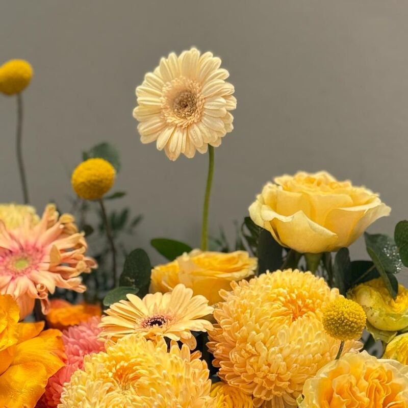 Our Flowers