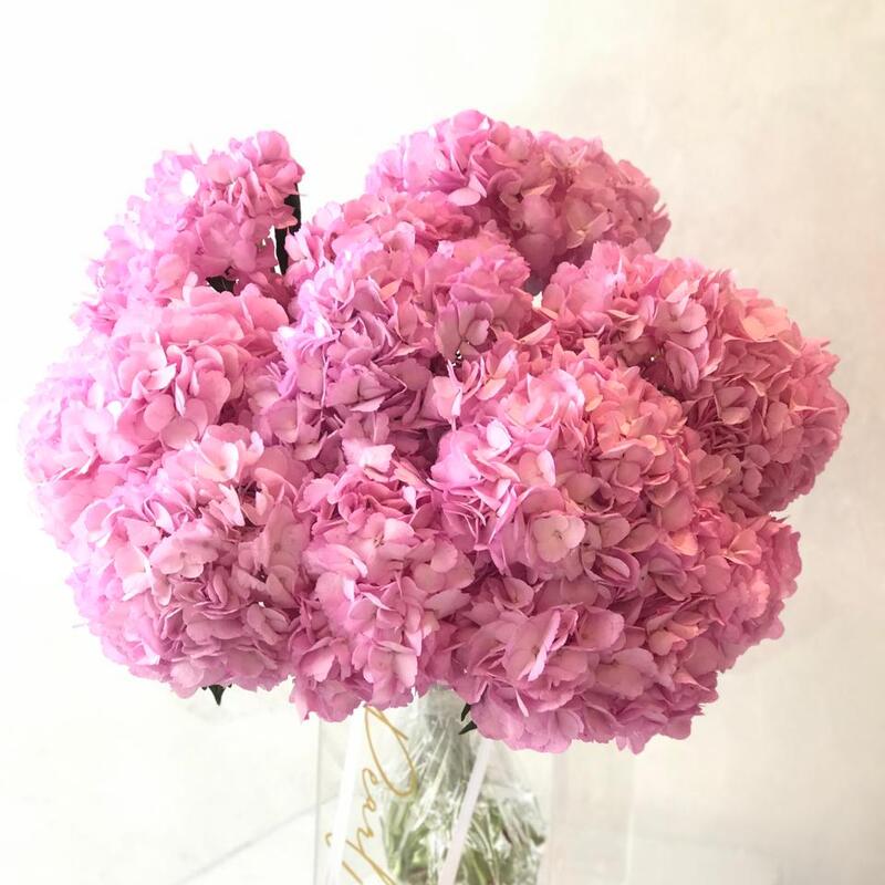 Our Flowers